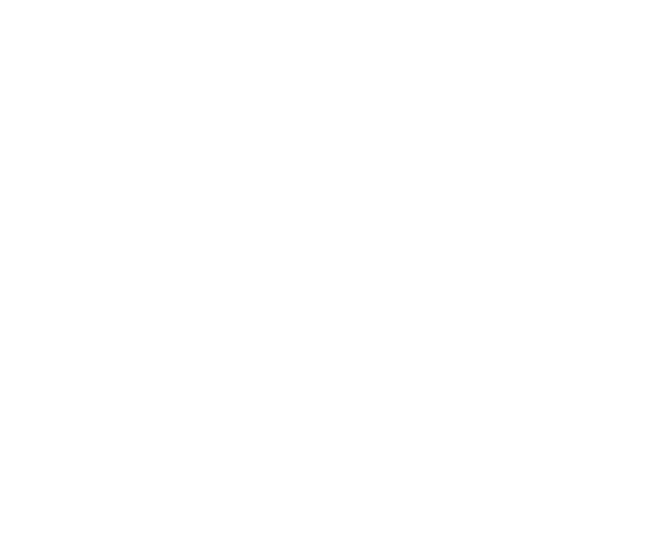 Selzer Insurance Group
